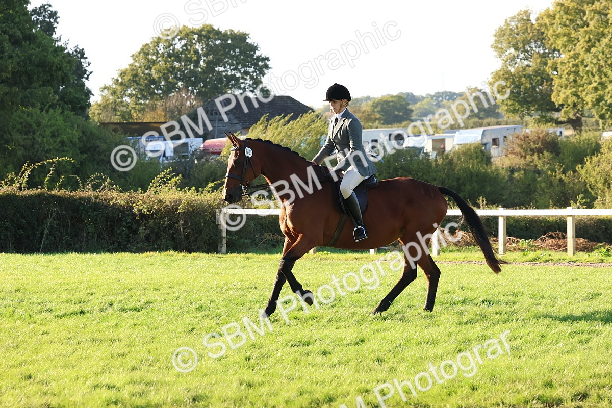 SBM_53017 - S29 - Mature Veteran Ridden