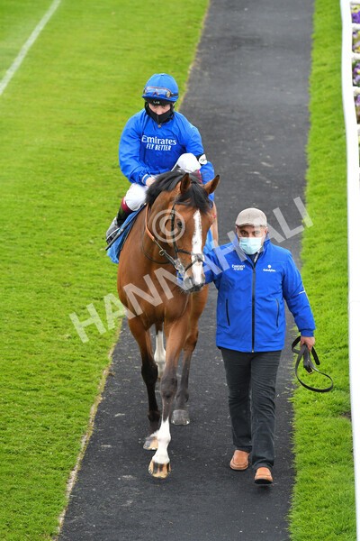 yr22052021r3-12 - Race 3 3.15pm William Hill Extra Place Races Stakes