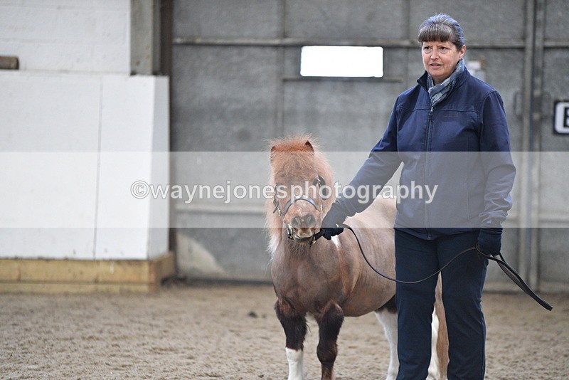 WJ5_5126 - Class 7 In hand coloured / odd coloured