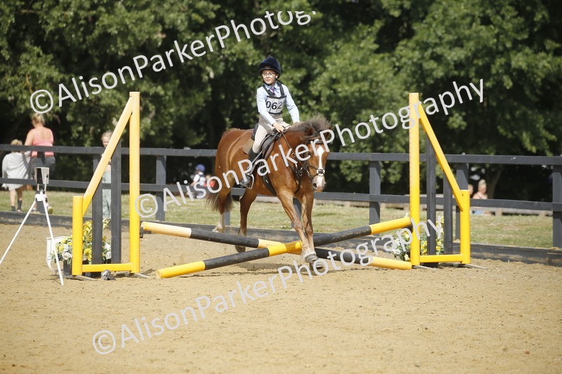 20250622-3829 - 50cm