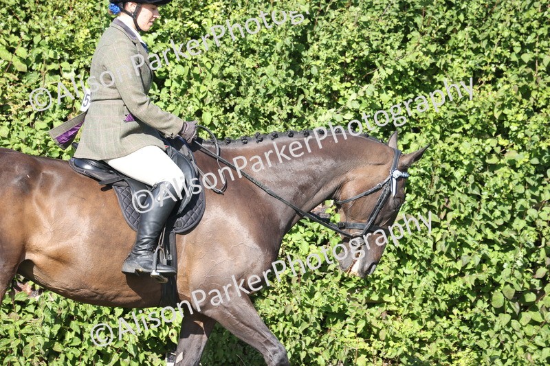 20260906-0372 - Class 14 - Ex Racehorse