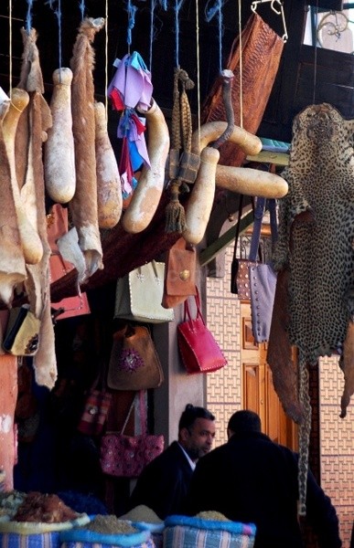 Skinned - Marrakesh III