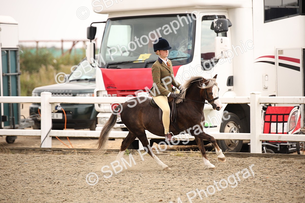 SBM_12588 - Class 405b - M&M Working Veteran 50cm 20+