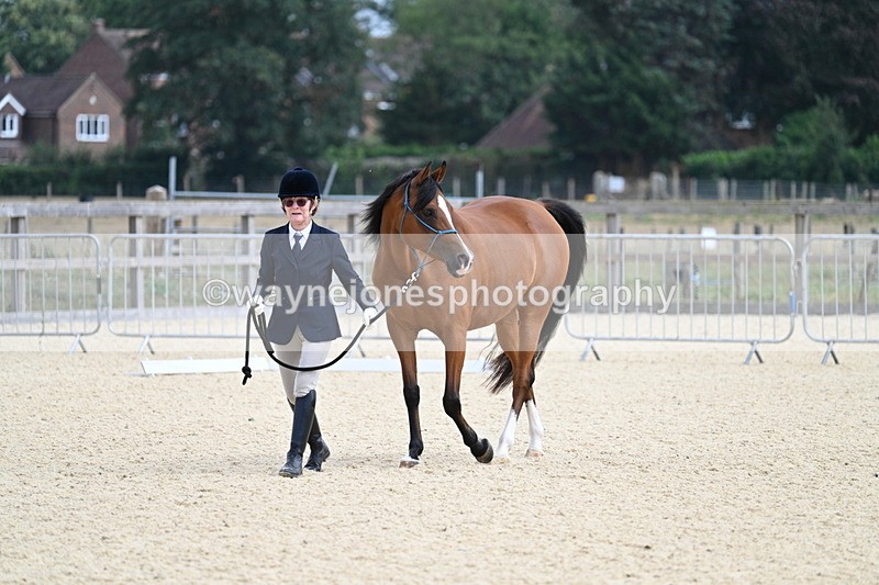WJ7_1809 - In Hand