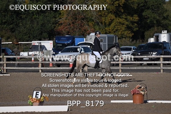 BPP_8179 - SHORT ARENA