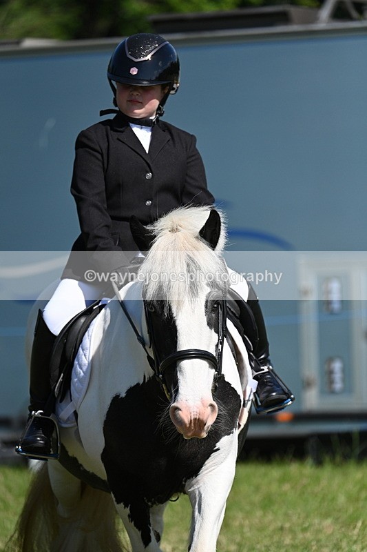 WJ7_0706 - Class 8 First Rally Pony