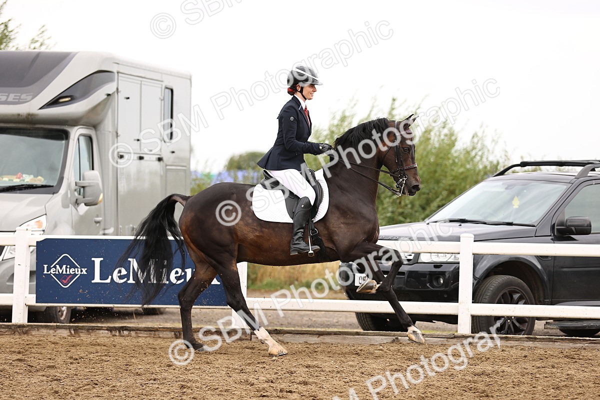 SBM_01351 - Class 54 - Riding Club Horse Pony