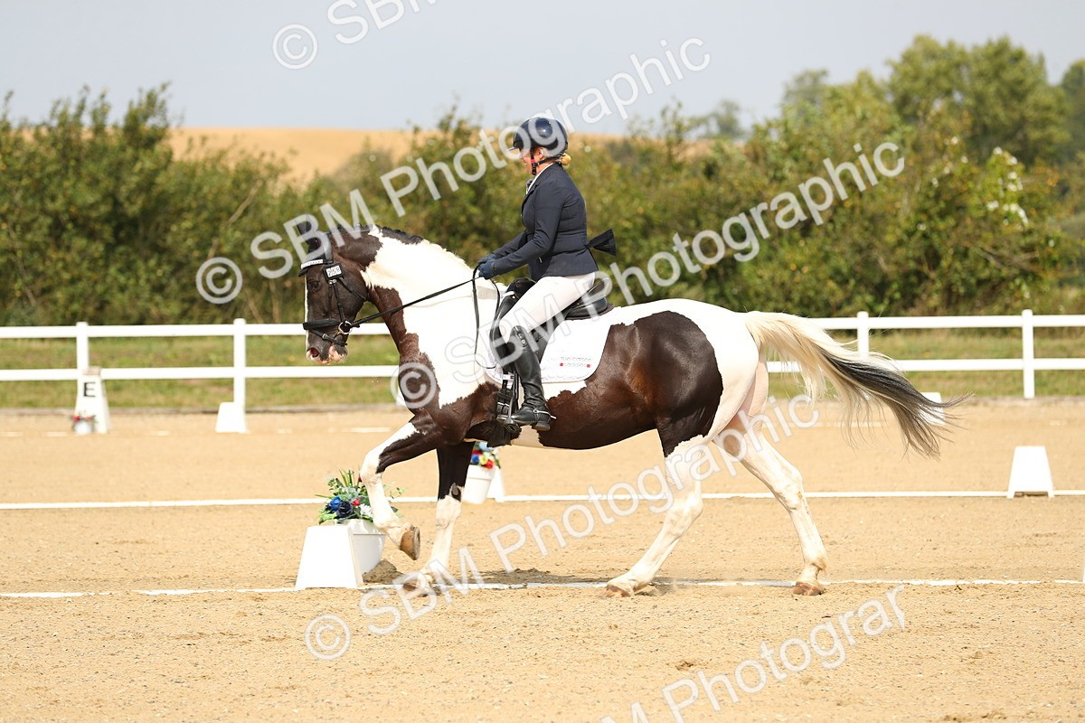 SBM_017267 - Class 13 - Novice 23 - 13.31-14.13