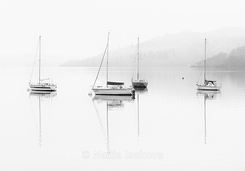  - Black & White