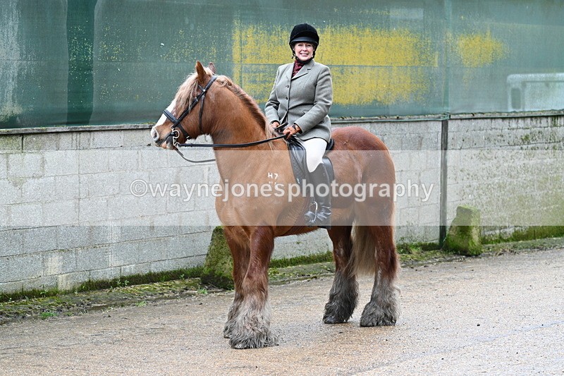 WJ7_8705 - Berks & Bucks - Rowles Farm 15-02-26