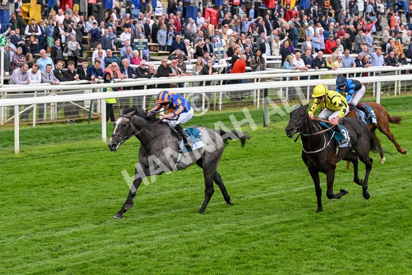 160524-Race 7-London City-6862 - Race 7 5.20pm Collective Green Energy Handicap
