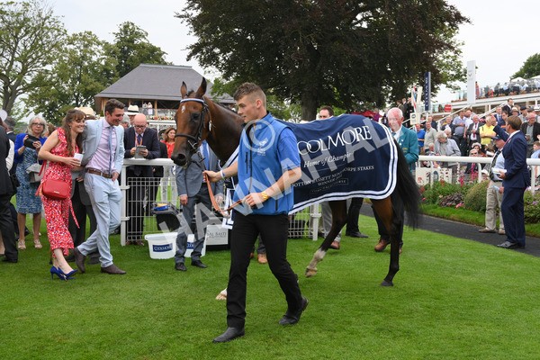 yr20082021r4-144 - Race 4 3.35pm Coolmore Wootton Bassett Nunthorpe Stakes (British Champions Series Race)