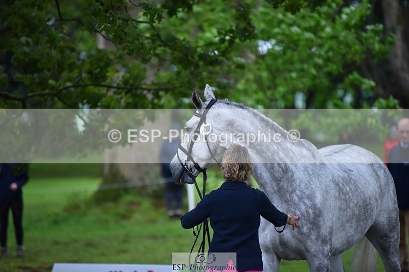 240522-162810-00936 - 208-KING_LOUIS-Mary_King