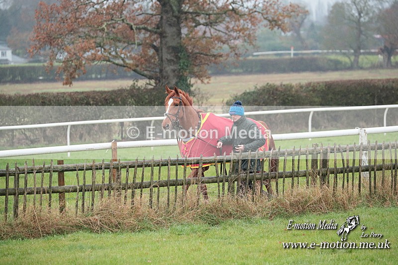 PtP 031223 336 - Wheatland Hunt PtP Chaddesley Races 03/12/23