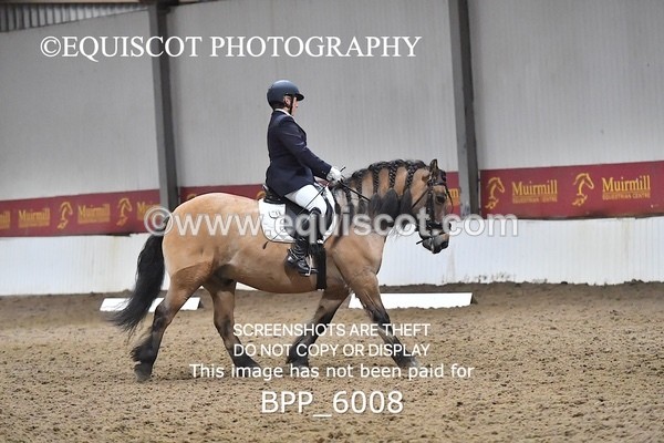 BPP_6008 - ELEM TEST 4