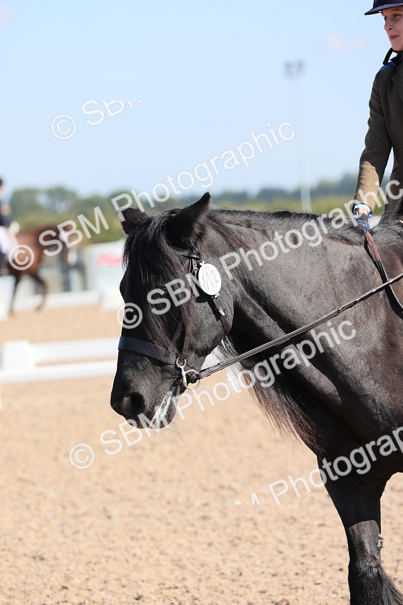 SBM_02501 - Class 30 Intro 1