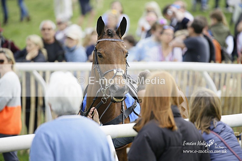 PtP 180422 138 - Old Berkshire PtP Lockinge 18/04/22