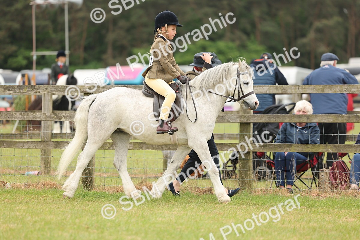 SBM_06741 - Class 74-75 - M&M Lead Rein and First Ridden Pony