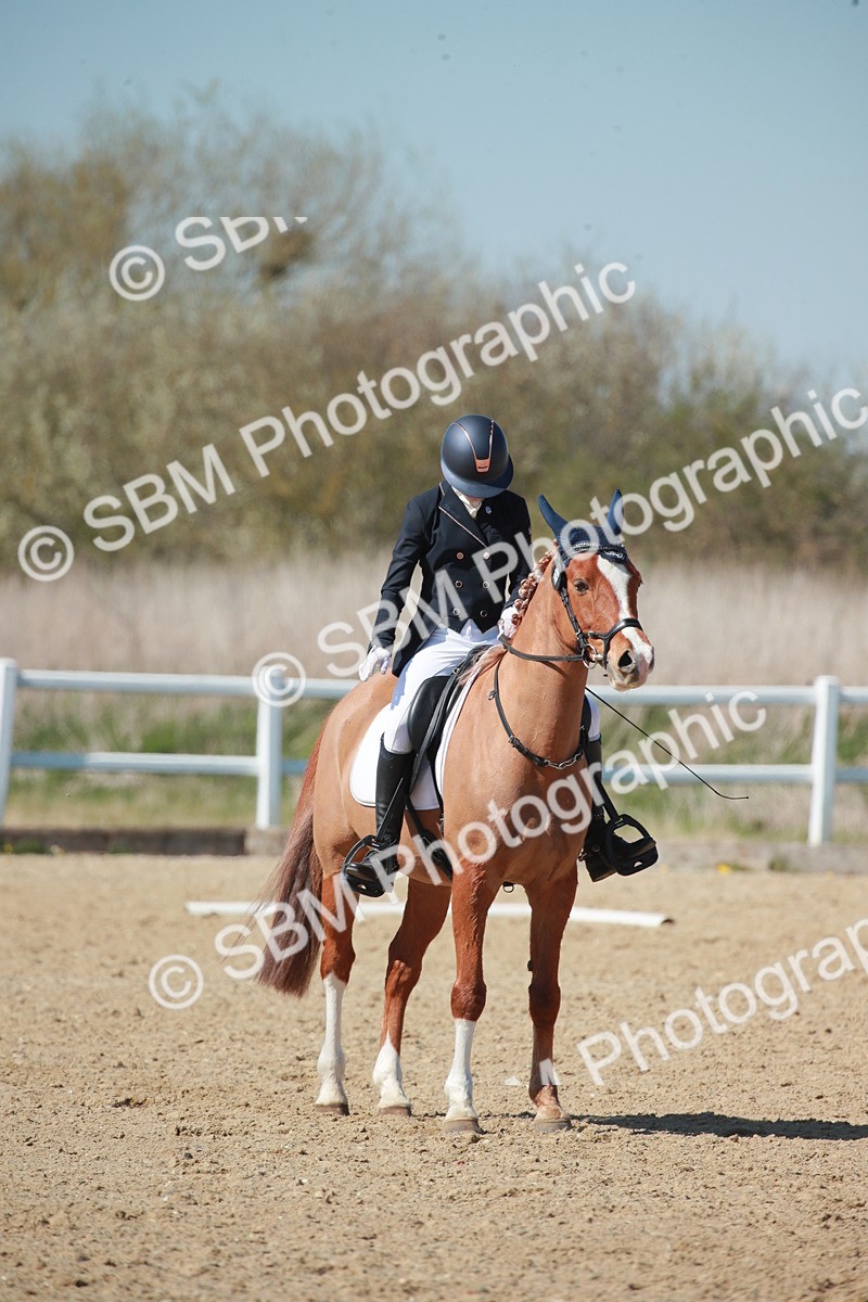 SJ3_1295 - Class 8 - E5