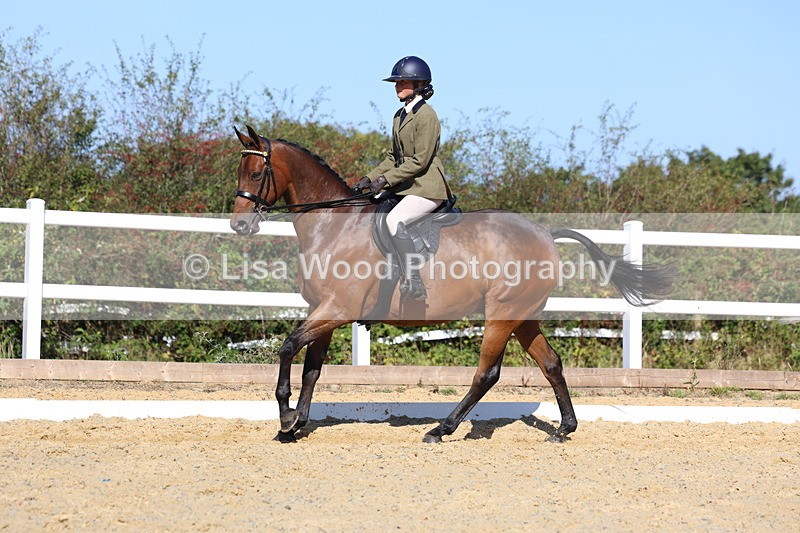 3E7A5733 - Class 10: Riding Horse