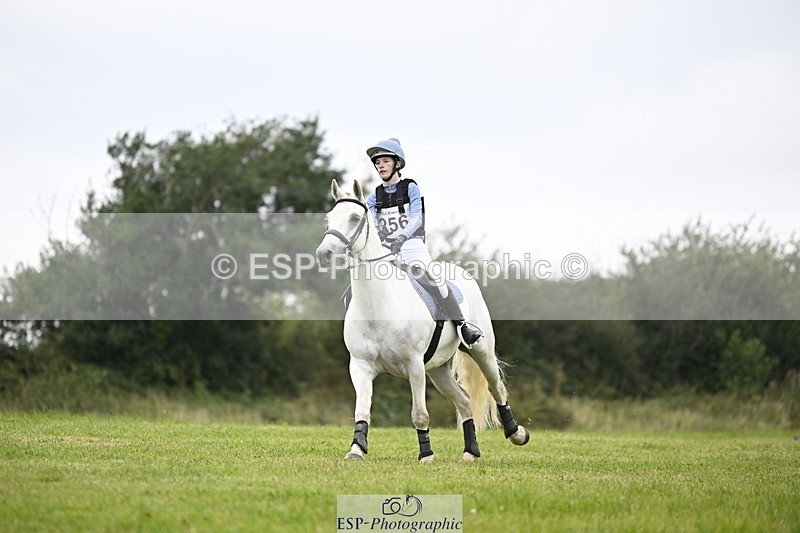 240831A-141753-03591 - 256-Tiarna.Falco-AUGHNAKEERAGH.DANNY