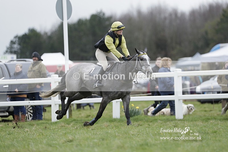 PtP 260323 0207 - New Forest Hounds Point-to-Point Larkhill 26/03/23
