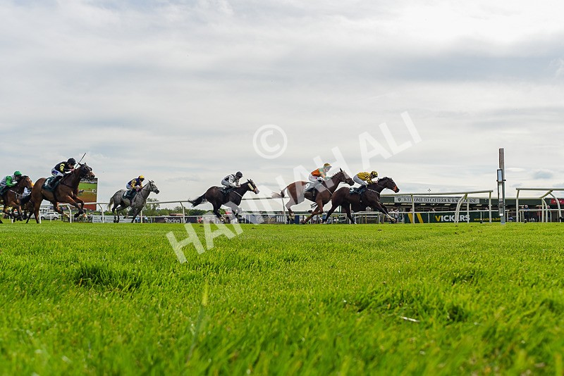 130524-Race 5-Sherdil-9481 - Race 5