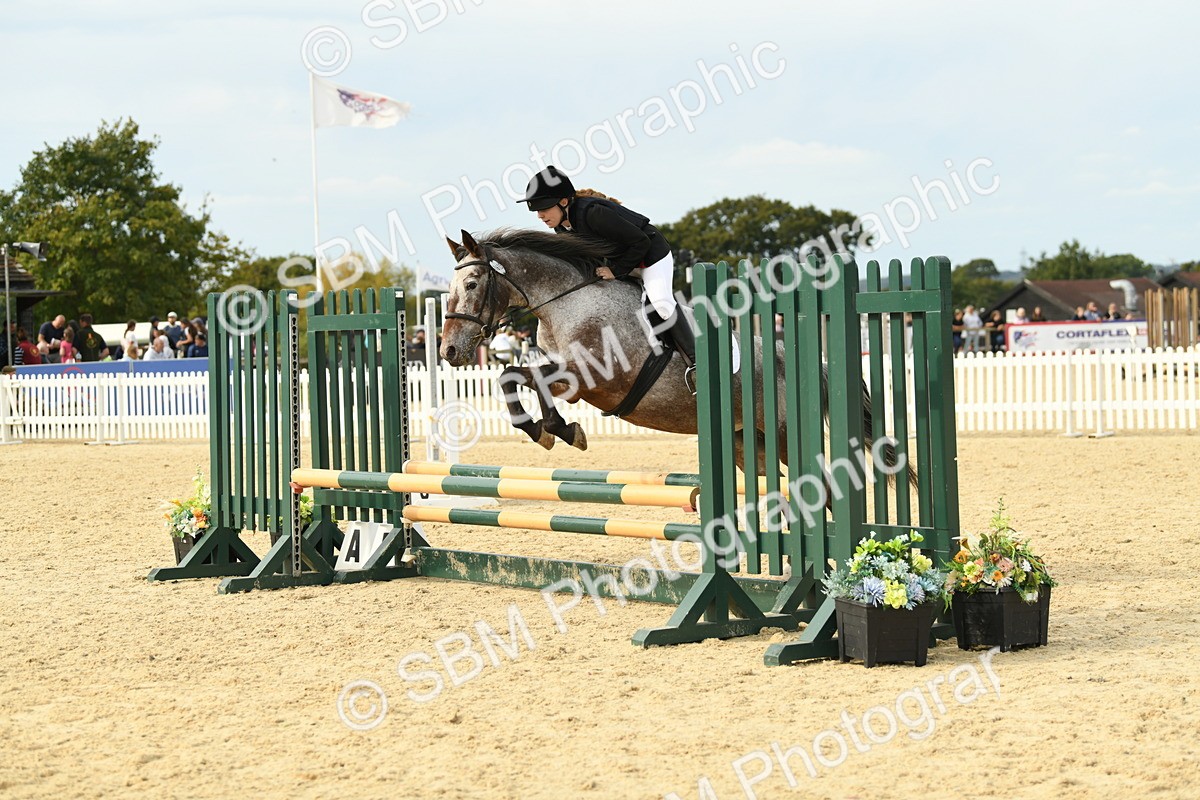 SBM_71077 - J15 - Junior Pony 70cm Championship