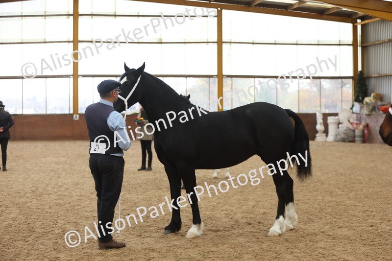 20251109-0951 - Class 26 - 2 and 4 Year Olds