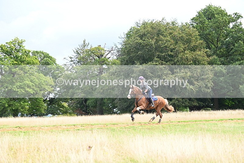 DSC_4546 - Time at Statue 09:50 to 11:09