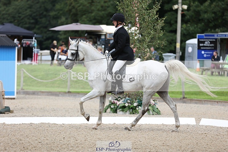 230813-103613-06329 - Cls 11 Elem Bronze Start to 10.50 break