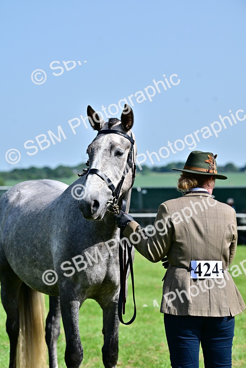 SBM_03326 - Class 50 - 54 Light Horse Breeding
