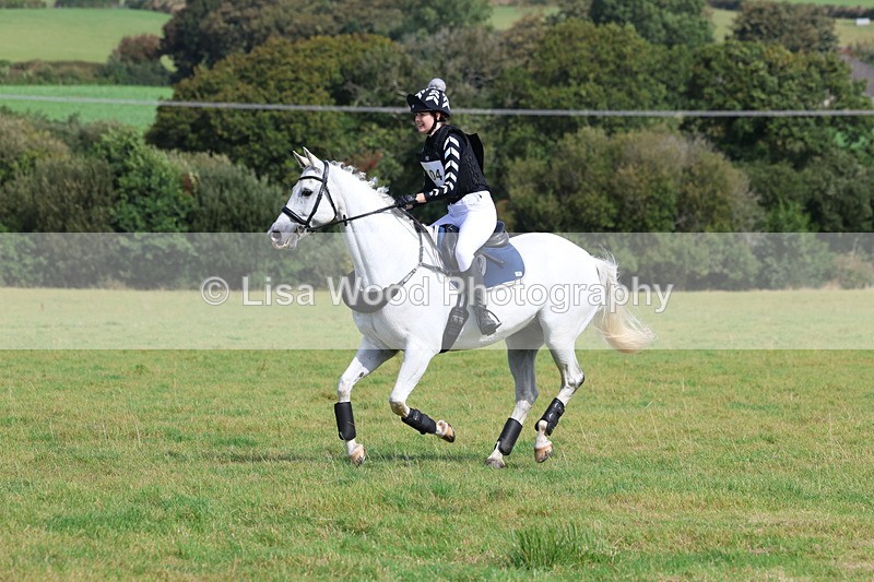 3E7A6457 - Class 1: Trebudannon Open: Pheasant Feeder