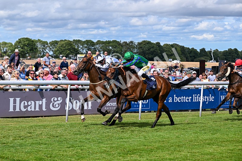 040726-Race 3-Emerald Bay-3915 - Race 3 15.24pm George Kilburn Memorial Nursery Handicap