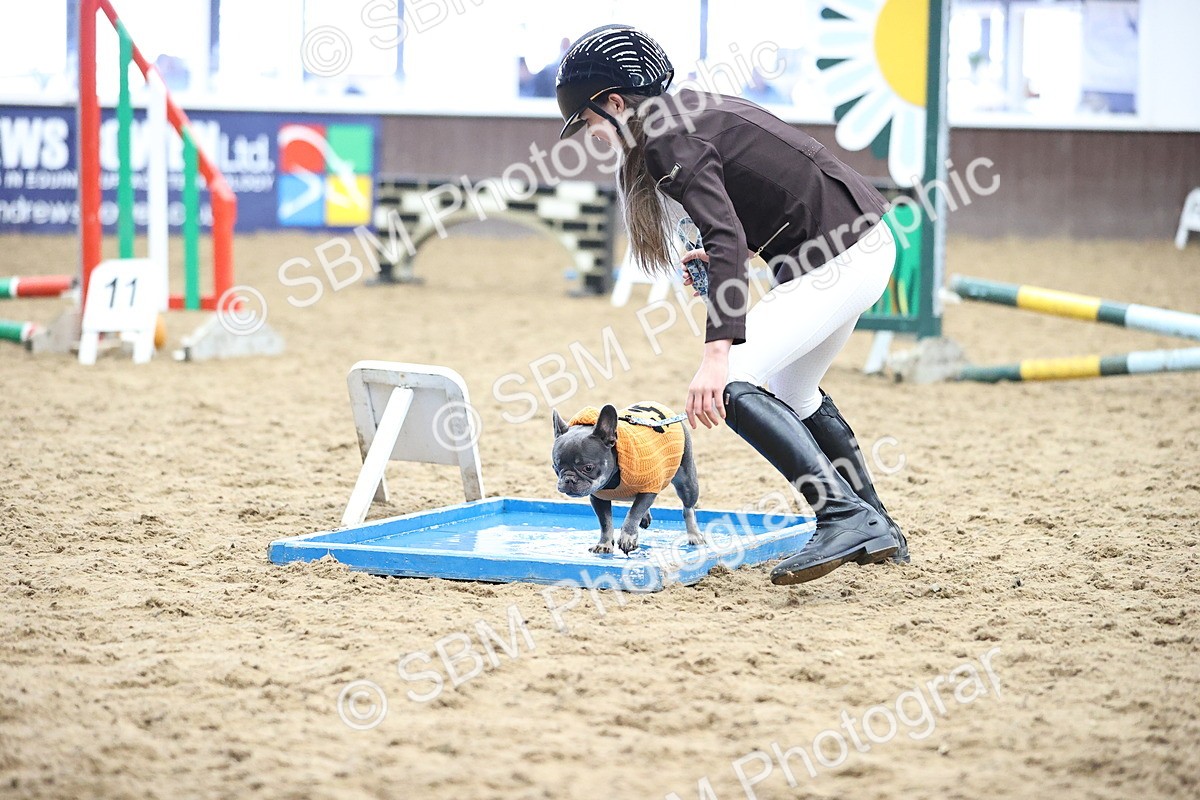 SBM_001194 - Class 3 - Horse & Hound 60cm