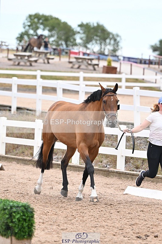 250716-140537-00905 - Trot Up 1.30 to 2.30