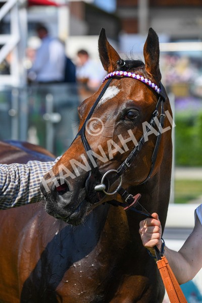 160623-Race 5-Harvanna-0637 - Race 5 4.10pm Juddmonte British EBF Fillies' Restricted Novice Stakes