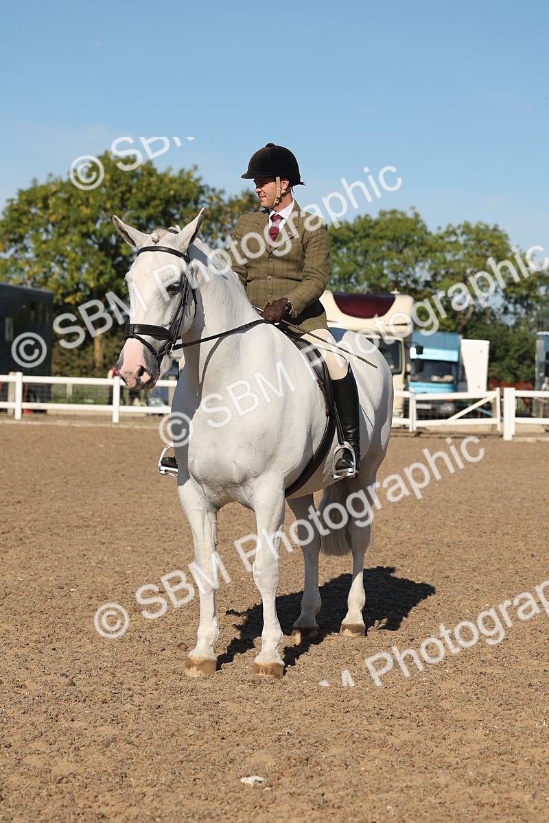 SBM_12236 - Class 303 - Ridden Pure Bred Horse Pony