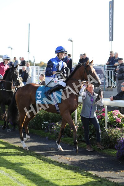yr08102022r5-7 - Race 5 3.50pm The Coral Committed To Safer Gambling EBFStallions.com Maiden Stakes