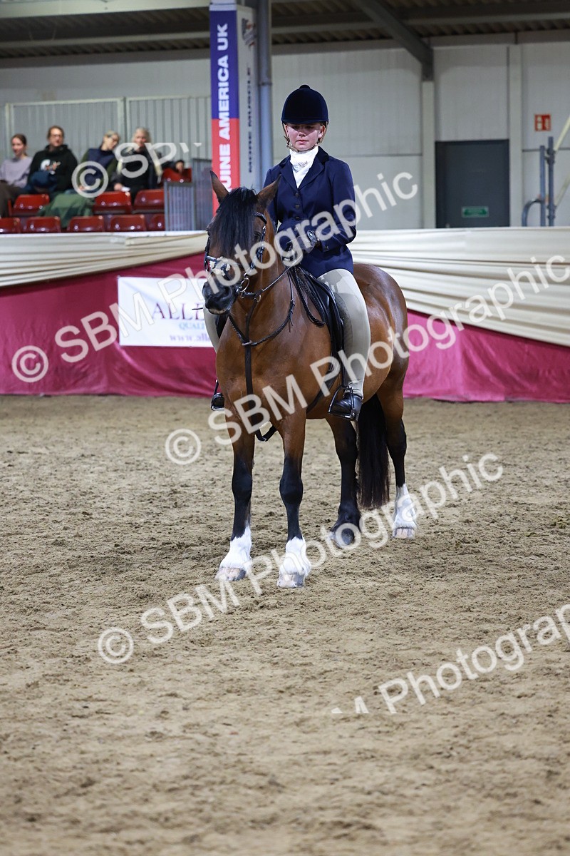 SBM_21374 - Class T - Working Veteran Champs