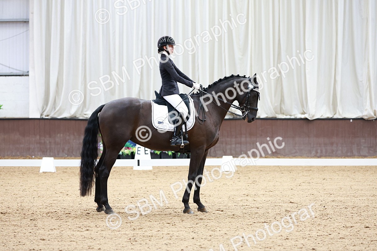 SBM_017732 - Class 15 - FEI Junior