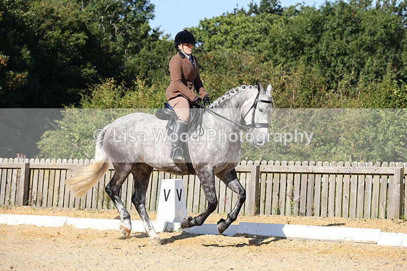 1X9A7760 - Class 9: Open Ridden Hunter