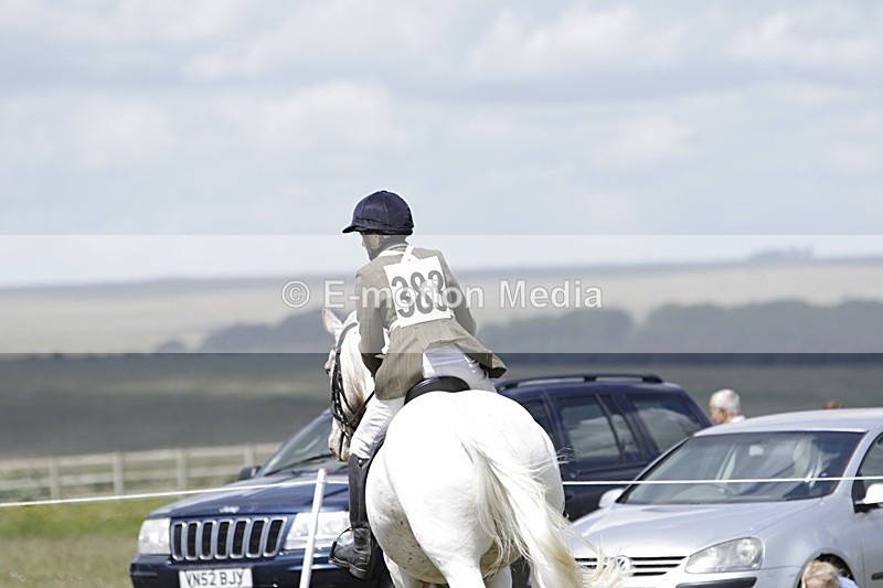 BVHT 140517 N-348 - Class 2 SJ Novice 14/05/17