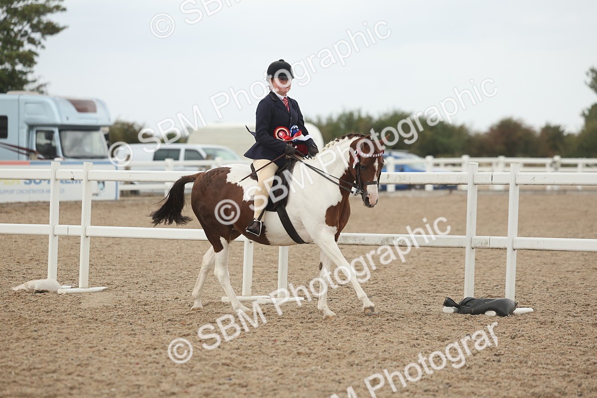 SBM_19209 - Class 316 - Best Pony-Rider Combination