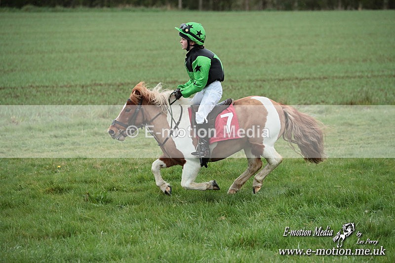 SHETPR 210425 224 - Shetland Ponies Paxford Races 21/04/25