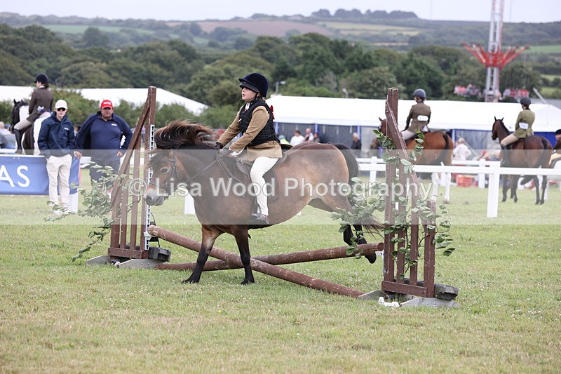 JPP_1768 - Class 18: Tiny Tots Working Hunter Pony