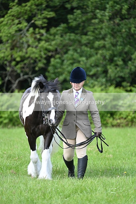 WJ7_1014 - Class 11 Condition & Turnout