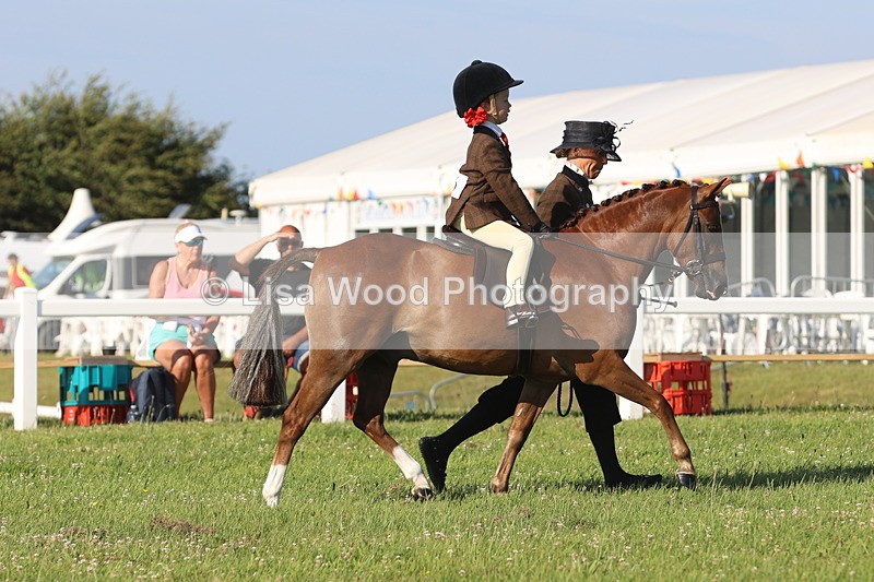JPP_0921 - Class 16: Cornish Combination Leading Rein