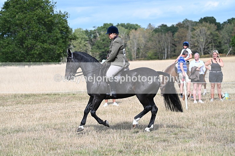 WJ7_6161 - Class 13 Ridden Veterans