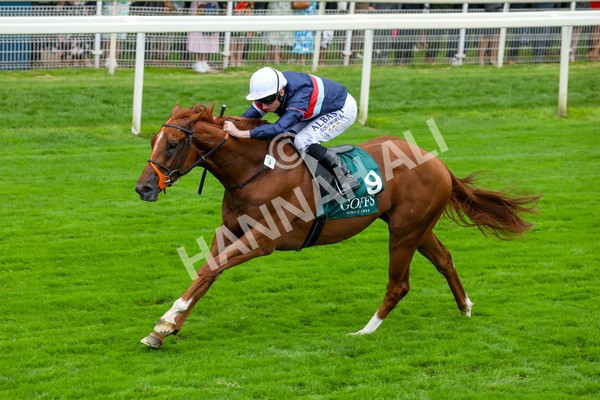 240823-Race 2-Dragon Leader-5098 - Race 2 2.25pm Goffs UK Harry Beeby Premier Yearling Stakes